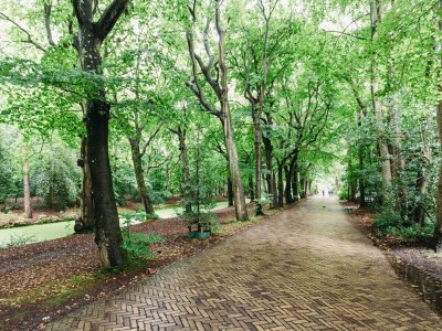 Holiday house Lumen Bergen - Environment photo 29