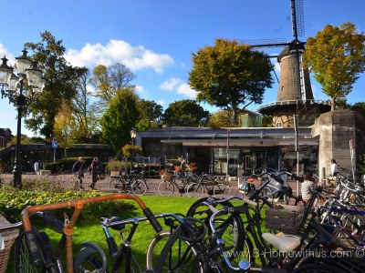 Holiday house Lumen Bergen - Environment photo 31