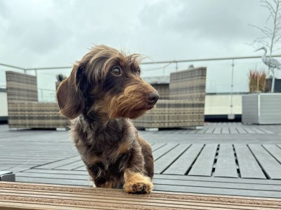 Holiday apartment Floating Hideaway Coco de Mer - Features photo 33