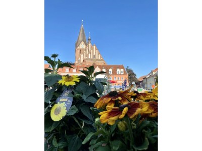 Holiday apartment Floating Hideaway Coco de Mer - Environment photo 35