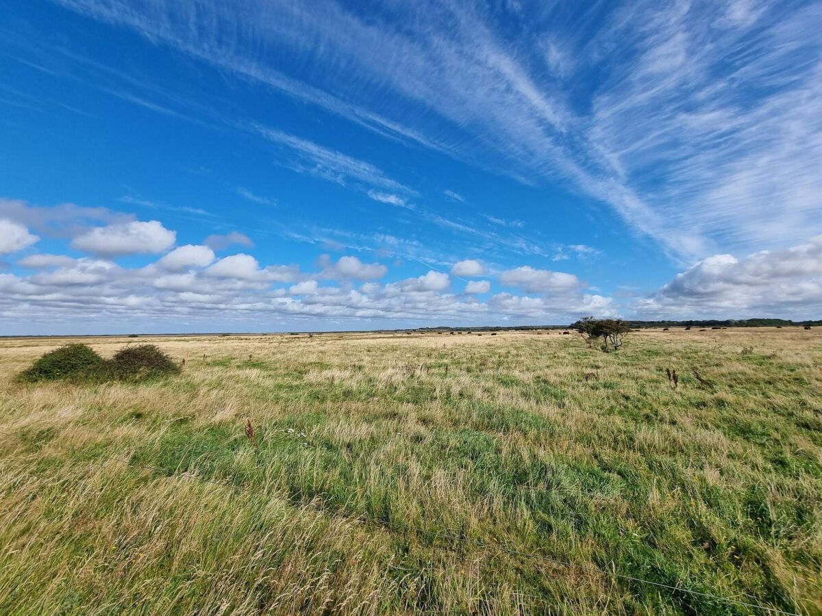 Holiday house 6 person holiday home in Tarm-By Traum - Outdoor photo 4