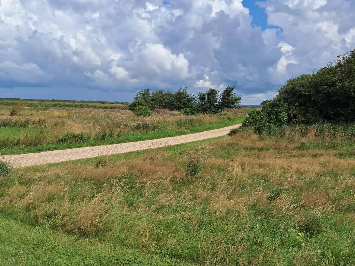 Holiday house 6 person holiday home in Tarm-By Traum - Outdoor photo 5