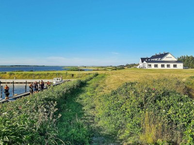 Holiday house 6 person holiday home in Tarm-By Traum - Outdoor photo 18