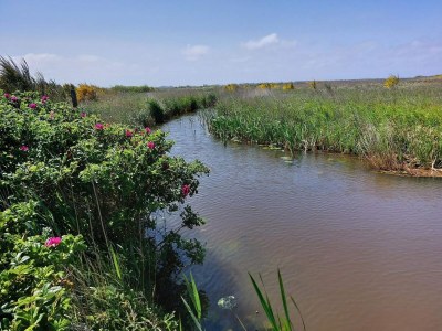 Holiday house 6 person holiday home in Tarm-By Traum - Outdoor photo 46