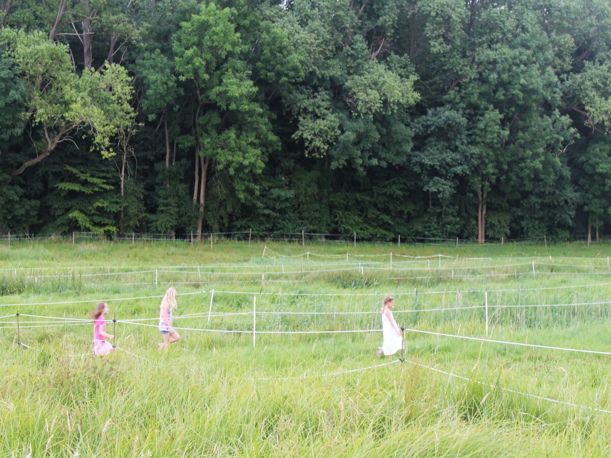 Holiday house Ferienhaus nahe Ostsee und Wald - Outdoor photo 2