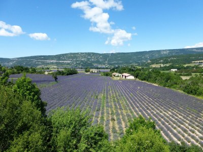 Holiday house Cottage in Luberon near Apt Market - Environment photo 18