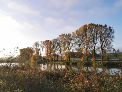 Holiday apartment Ferienwohnung Gaisweiher - Environment photo 22