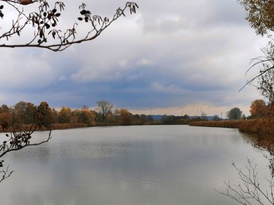 Holiday apartment Ferienwohnung Gaisweiher - Environment photo 24