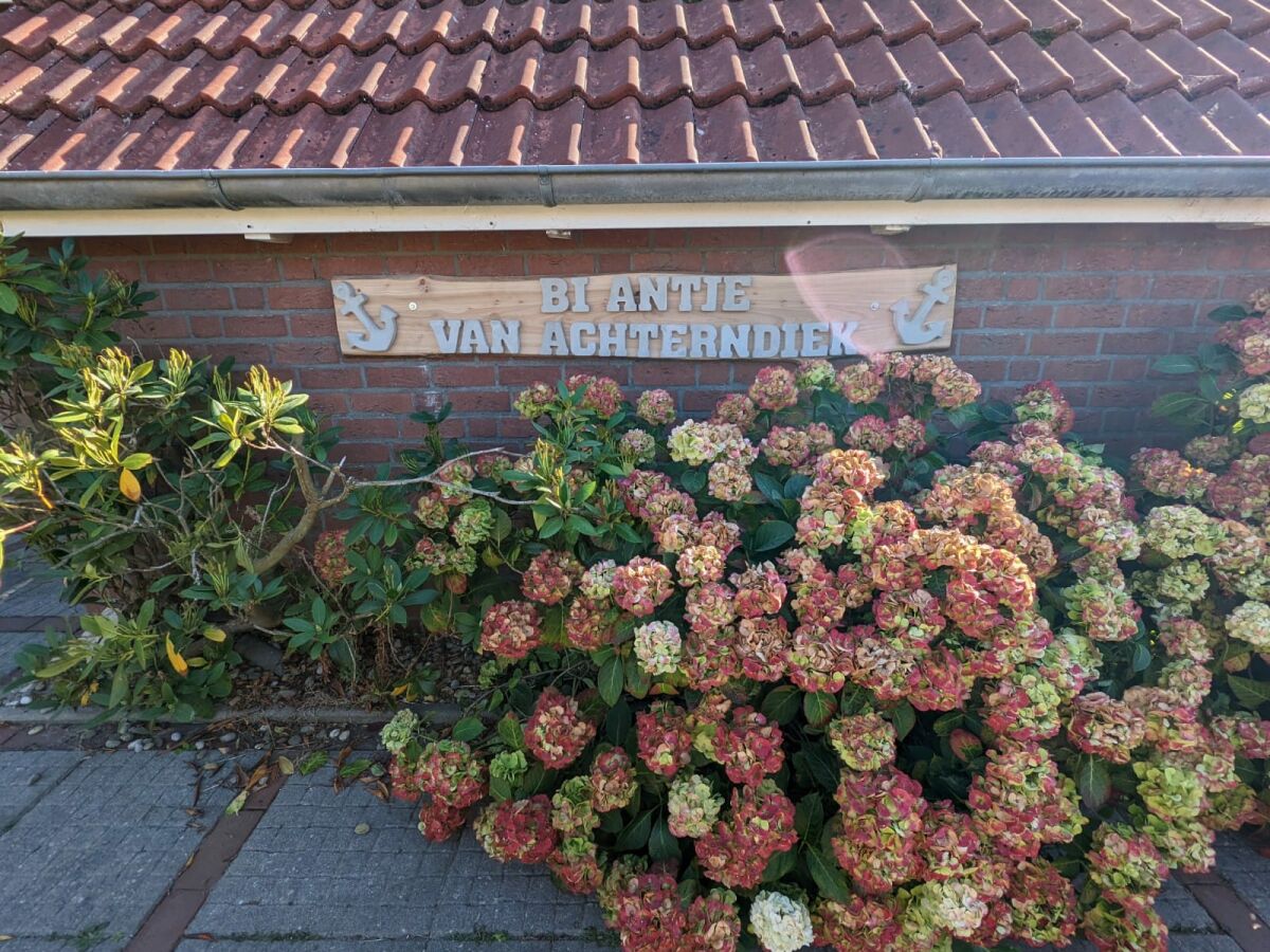 Holiday apartment Bi Antje van Achterndiek - Outdoor photo 2