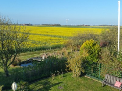 Holiday apartment Bi Antje van Achterndiek - Outdoor photo 12