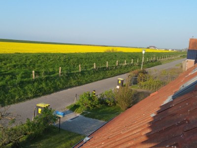 Holiday apartment Bi Antje van Achterndiek - Outdoor photo 13