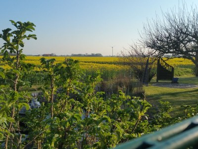 Holiday apartment Bi Antje van Achterndiek - Outdoor photo 14