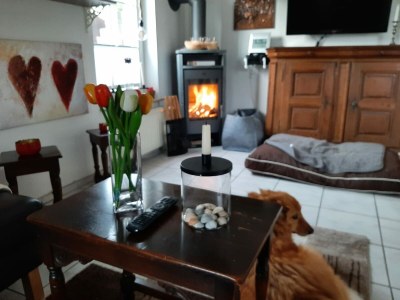 Holiday apartment Bi Antje van Achterndiek - Features photo 20