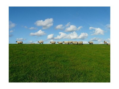 Holiday apartment Bi Antje van Achterndiek - Environment photo 38