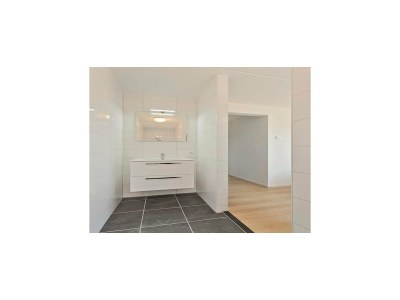 Holiday house Ferienhaus in Scherpenisse mit Sauna - Features photo 23