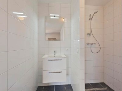 Holiday house Ferienhaus in Scherpenisse mit Sauna - Features photo 25