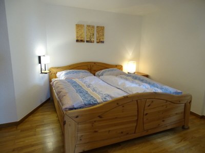 Holiday apartment Schwalbenstadl XL - Features photo 20