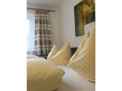 Holiday apartment Schattwalder Hof - Features photo 8