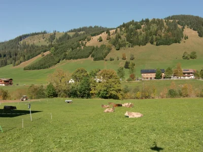 Holiday apartment Schattwalder Hof - Environment photo 16