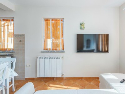 Holiday apartment Cerin with Private Pool - Features photo 10
