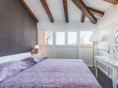 Holiday apartment Cerin with Private Pool - Features photo 18