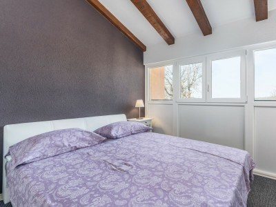 Holiday apartment Cerin with Private Pool - Features photo 19