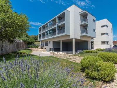 Apartment Kata Vrsar with Sea View in Vrsar - Apartment