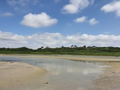 Holiday house Luxurioser Ruckzug mit Pool -- By Traum Ferienwohnungen - Outdoor photo 10