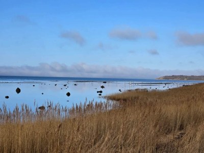 Holiday house Luxurioser Ruckzug mit Pool -- By Traum Ferienwohnungen - Outdoor photo 11