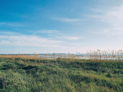 Holiday house Luxurioser Ruckzug mit Pool -- By Traum Ferienwohnungen - Outdoor photo 12