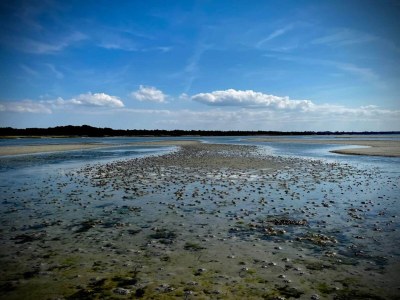 Holiday house Luxurioser Ruckzug mit Pool -- By Traum Ferienwohnungen - Outdoor photo 17