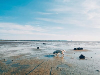 Holiday house Luxurioser Ruckzug mit Pool -- By Traum Ferienwohnungen - Outdoor photo 20