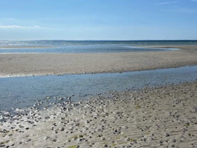 Holiday house Luxurioser Ruckzug mit Pool -- By Traum Ferienwohnungen - Outdoor photo 25