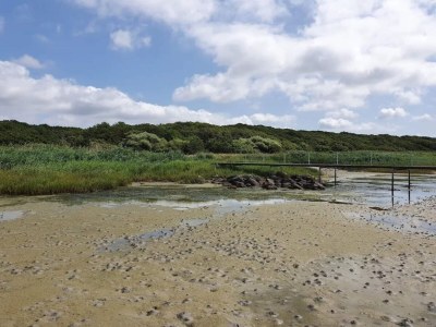 Holiday house Luxurioser Ruckzug mit Pool -- By Traum Ferienwohnungen - Outdoor photo 34