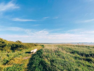 Holiday house Luxurioser Ruckzug mit Pool -- By Traum Ferienwohnungen - Outdoor photo 36