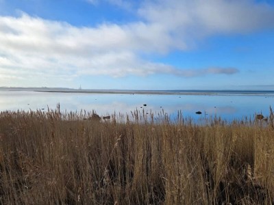 Holiday house Luxurioser Ruckzug mit Pool -- By Traum Ferienwohnungen - Outdoor photo 37