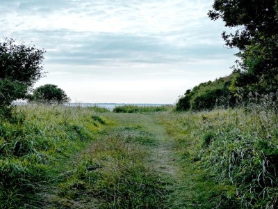 Holiday house Luxurioser Ruckzug mit Pool -- By Traum Ferienwohnungen - Outdoor photo 38