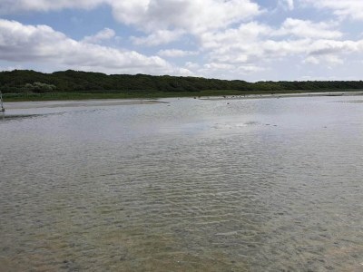Holiday house Luxurioser Ruckzug mit Pool -- By Traum Ferienwohnungen - Outdoor photo 41