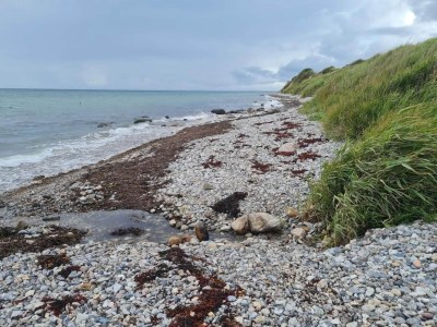 Holiday house Luxurioser Ruckzug mit Pool -- By Traum Ferienwohnungen - Outdoor photo 44