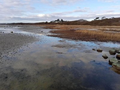 Holiday house Luxurioser Ruckzug mit Pool -- By Traum Ferienwohnungen - Outdoor photo 47
