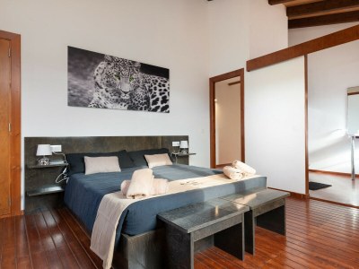 Villa Son Mieres (de sa Font) - Features photo 23