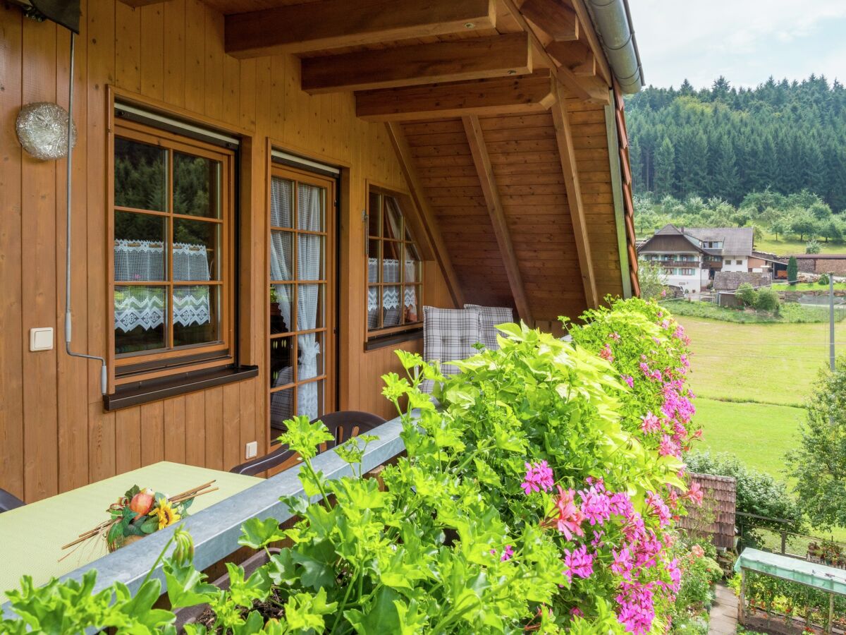 Farmhouse Gemütliche Ferienwohnung im Schwarzwald - Outdoor photo 3