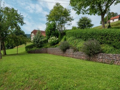 Farmhouse Gemütliche Ferienwohnung im Schwarzwald - Outdoor photo 9