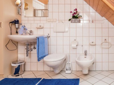 Farmhouse Gemütliche Ferienwohnung im Schwarzwald - Features photo 20