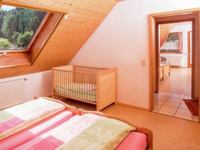 Farmhouse Gemütliche Ferienwohnung im Schwarzwald - Features photo 21