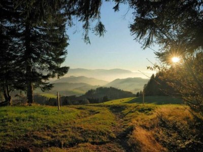 Farmhouse Gemütliche Ferienwohnung im Schwarzwald - Environment photo 32