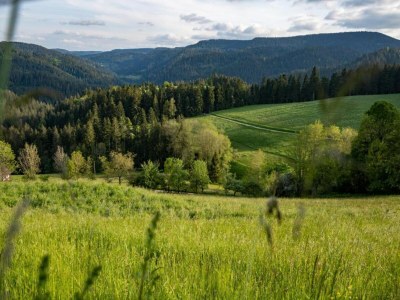 Farmhouse Gemütliche Ferienwohnung im Schwarzwald - Environment photo 33