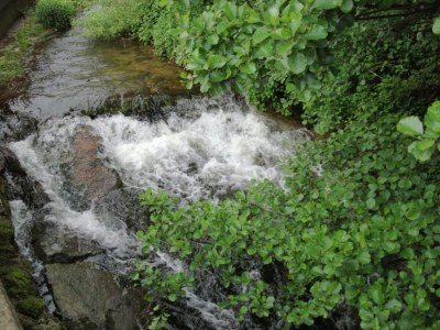 Farmhouse Gemütliche Ferienwohnung im Schwarzwald - Environment photo 34