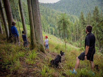 Farmhouse Gemütliche Ferienwohnung im Schwarzwald - Environment photo 37
