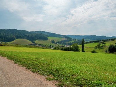 Farmhouse Gemütliche Ferienwohnung im Schwarzwald - Environment photo 38